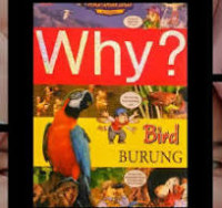 Image of Why? Bird