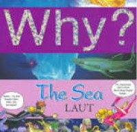 Image of Why? The Sea